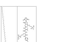 Figure imgf000256_0001