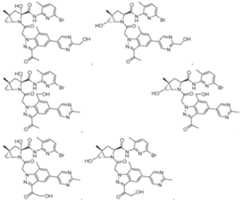 Figure imgf000119_0002