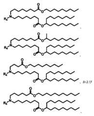 Figure 0007488193000147