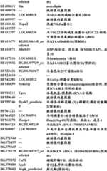 Figure BDA0000057170160001821