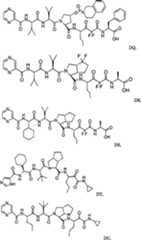 Figure A0181505500241