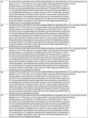 Figure BDA0004183790070000781