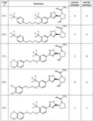 Figure imgf000036_0001