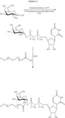 Figure US07214660-20070508-C00111