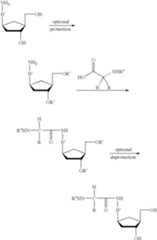 Figure US06875751-20050405-C00026