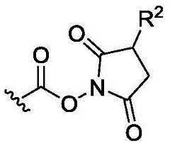 Figure BDA0003018192690002583