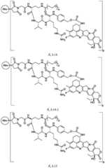 Figure BDA0003674984870000301