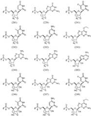 Figure imgf000042_0001