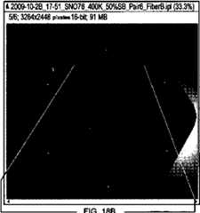 Figure imgf000079_0003