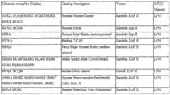 Figure imgf001010_0001