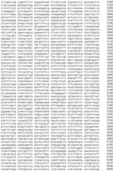 Figure IDA0002536600790000591