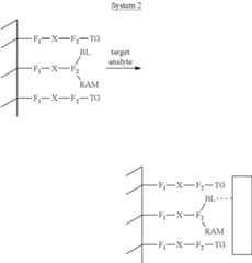Figure US08383356-20130226-C00002