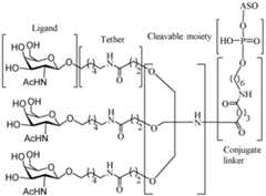 Figure imgf000011_0001
