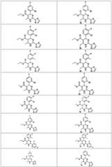 Figure BDA0003122494520000281