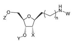 Figure imgf000023_0002