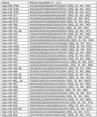 Figure imgf000023_0001