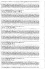 Figure 112011030538926-pct00013