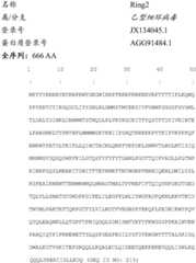 Figure BDA0004078918960001022