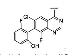 Figure imgf000017_0004