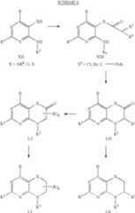 Figure US06875769-20050405-C00011