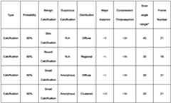 Figure PCTCN2020142136-appb-000002