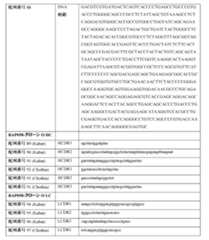 Figure 0007483732000045