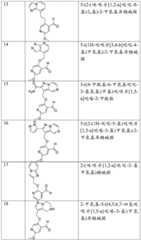 Figure BDA0002379504970001361