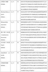 Figure BDA0004113681710000451