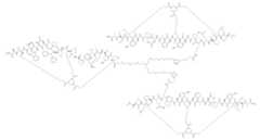 Figure 0007704732000061