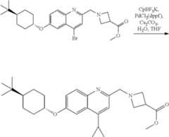 Figure US10166250-20190101-C00205