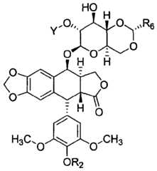 Figure imgf000024_0002