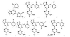 Figure 2024515119000017