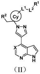 Figure FDA0002319666800000021