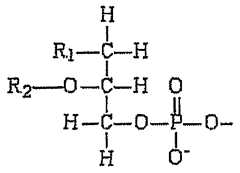 Figure imgf000090_0001