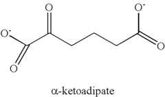 Figure US08192976-20120605-C00016