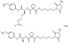 Figure imgf000123_0002