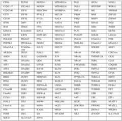 Figure imgf000024_0001