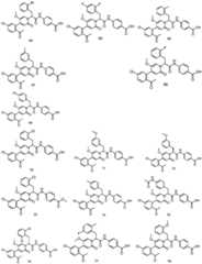 Figure FDA0003202626560000111