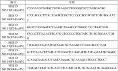 Figure BDA0001535478180000161