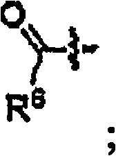 Figure A2006800490480002C2