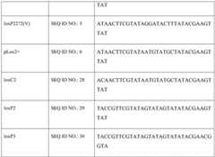 Figure BDA0002236234620000191