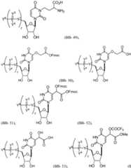 Figure imgf000679_0001