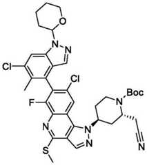 Figure BDA0003993773060002071