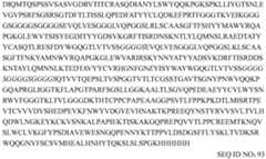 Figure PCTCN2019123555-APPB-000058