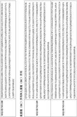 Figure BDA0003148067940000521