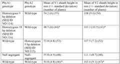 Figure imgf000106_0001