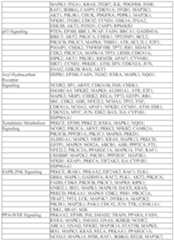 Figure imgf000083_0001