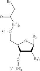 Figure US12338436-20250624-C00378