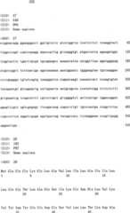 Figure IPA0000175387180000311