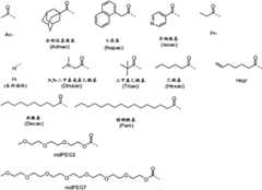 Figure BPA00001701189600131